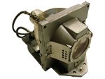 BenQ 5J.J2D05.001 Beamerlampe Originalmodul