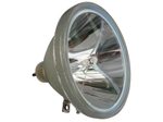Beamerlampe (nur Leuchtmittel) für TOSHIBA (ersetzt: TLPL2)