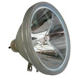 Beamerlampe (nur Leuchtmittel) für EPSON (ersetzt: ELPLP02, V13H020L1D, V13H010L02)