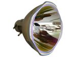 Beamerlampe (nur Leuchtmittel) für HITACHI (ersetzt: DT01581)