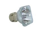 Beamerlampe (nur Leuchtmittel) für SAMSUNG (ersetzt: DPL2201P/EDC, DPL2201P, BP47-00044A)