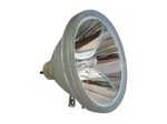 Beamerlampe (nur Leuchtmittel) für TOSHIBA (ersetzt: TLPL2)