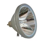 Beamerlampe (nur Leuchtmittel) für EPSON (ersetzt: ELPLP02, V13H020L1D, V13H010L02)