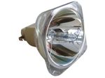 Beamerlampe (nur Leuchtmittel) für VIEWSONIC (ersetzt: RLC-046)