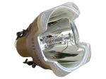 Beamerlampe (nur Leuchtmittel) für 3D PERCEPTION (ersetzt: 400-0400-00, 400-0500-00, R9801272)