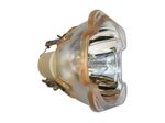 Beamerlampe (nur Leuchtmittel) für 3D PERCEPTION (ersetzt: HD42lamp)