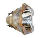 Beamerlampe (nur Leuchtmittel) für 3D PERCEPTION (ersetzt: 400-0400-00, 400-0500-00, R9801272)