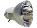 Beamerlampe (nur Leuchtmittel) für DELL (ersetzt: 330-9847, 725-10225)