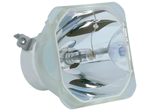 Beamerlampe (nur Leuchtmittel) für LG (ersetzt: COV31822701 COV33426601)
