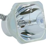 Beamerlampe (nur Leuchtmittel) für LG (ersetzt: COV31822701 COV33426601)
