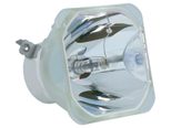 Beamerlampe (nur Leuchtmittel) für LG (ersetzt: COV31822701 COV33426601)