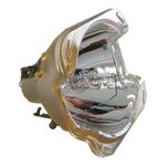 Beamerlampe (nur Leuchtmittel) für 3D PERCEPTION (ersetzt: 400-0400-00, 400-0500-00, R9801272)