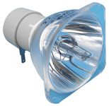 Beamerlampe (nur Leuchtmittel) für BENQ (ersetzt: 5J.06001.001)