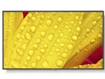 NEC MultiSync M431-2 Digital Signage Display 108 cm 43 Zoll