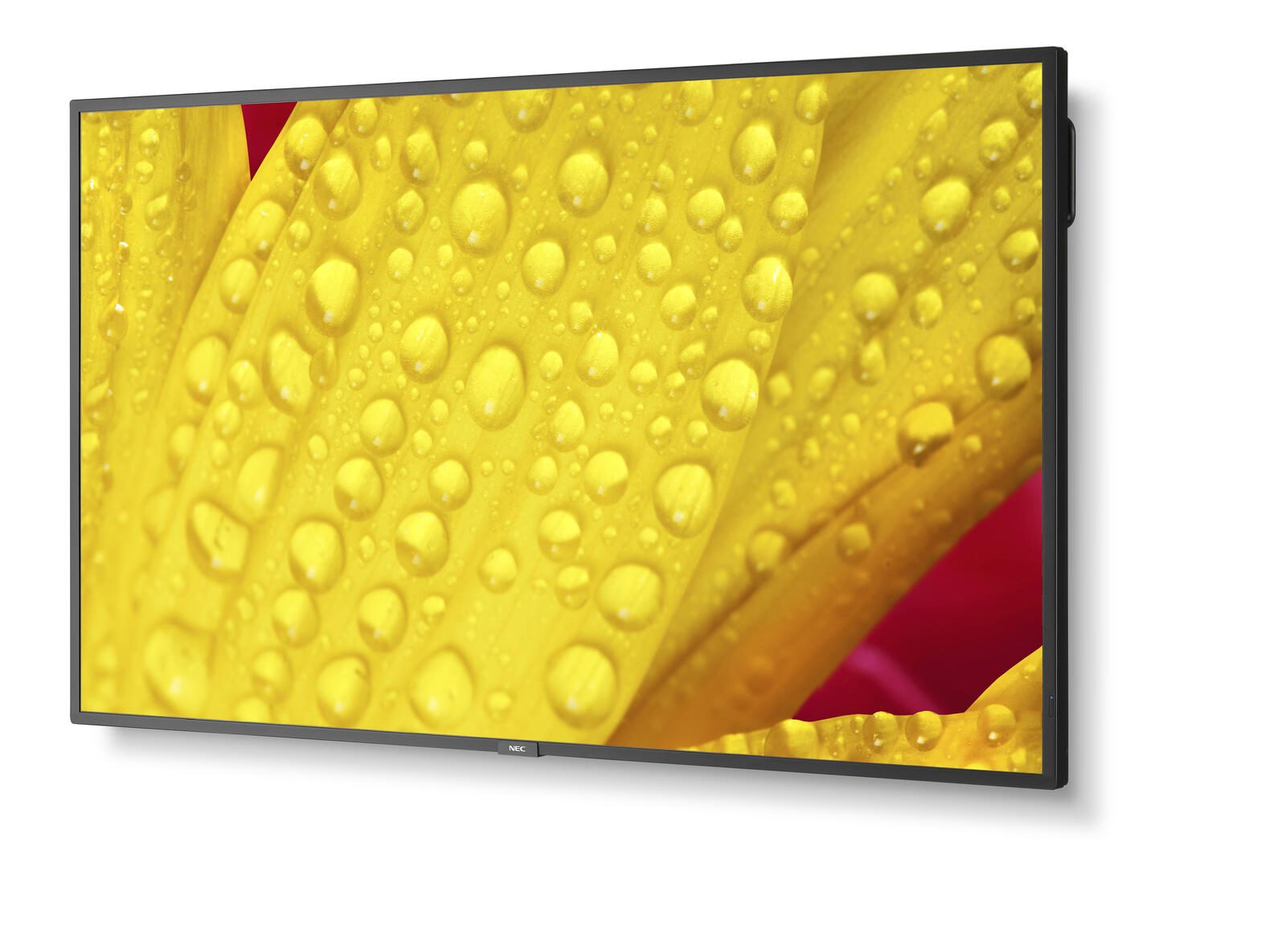 NEC MultiSync M431-2 Digital Signage Display 108 cm 43 Zoll