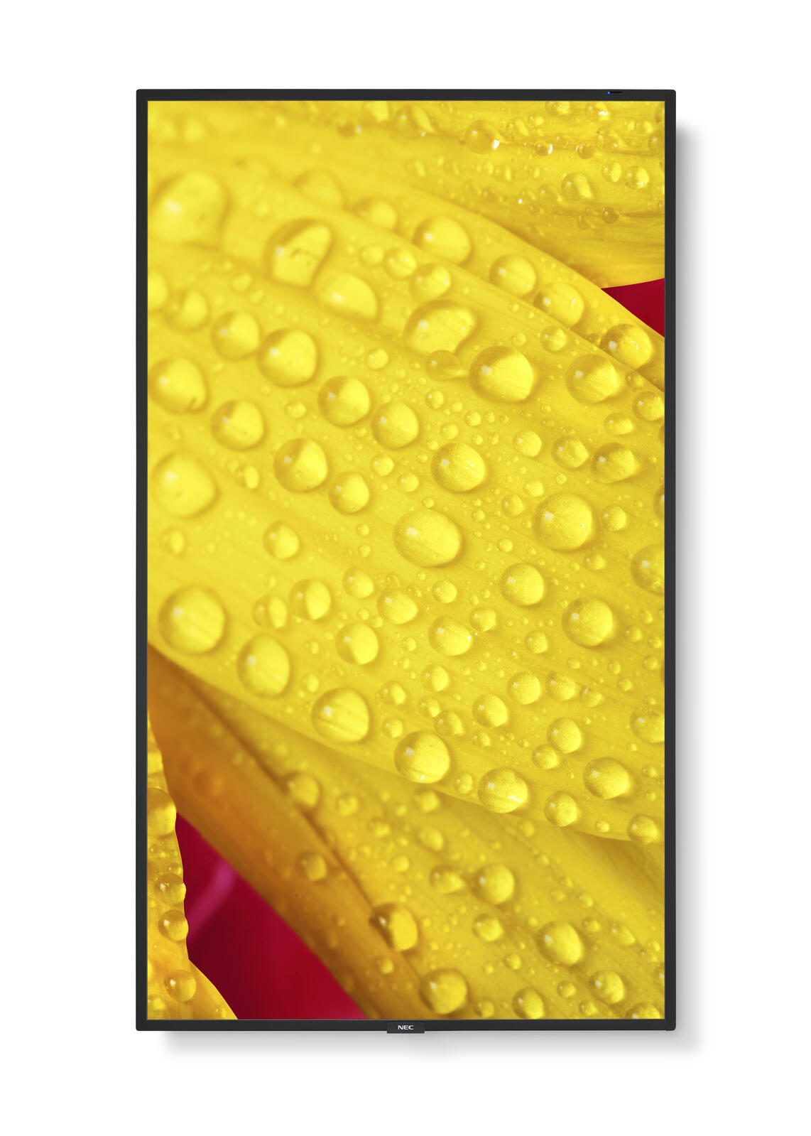 NEC MultiSync M431-2 Digital Signage Display 108 cm 43 Zoll