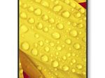 NEC MultiSync M431-2 Digital Signage Display 108 cm 43 Zoll