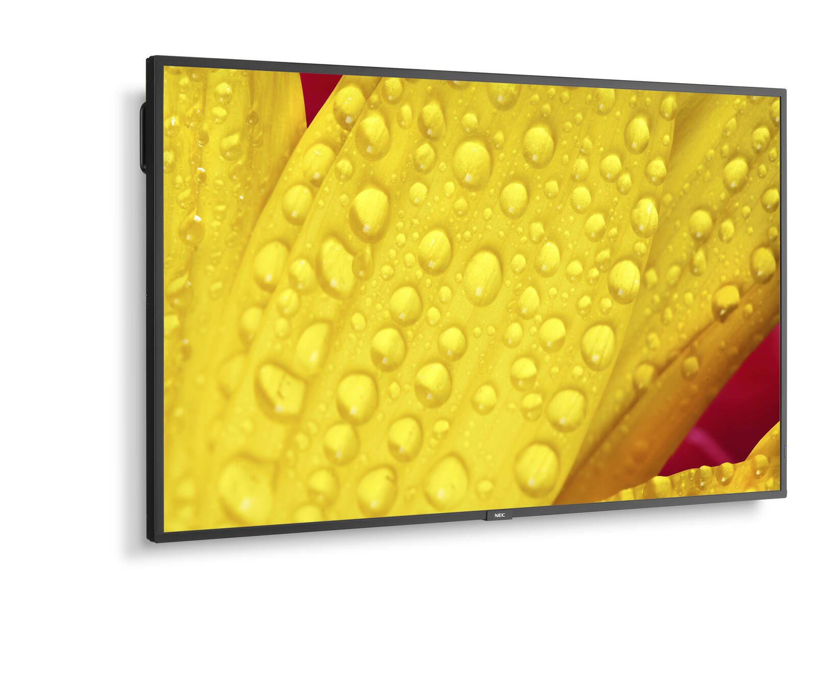 NEC MultiSync M431-2 Digital Signage Display 108 cm 43 Zoll