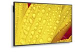NEC MultiSync M431-2 Digital Signage Display 108 cm 43 Zoll