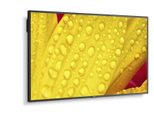 NEC MultiSync M651-2 Digital Signage Display 163,9 cm 65 Zoll