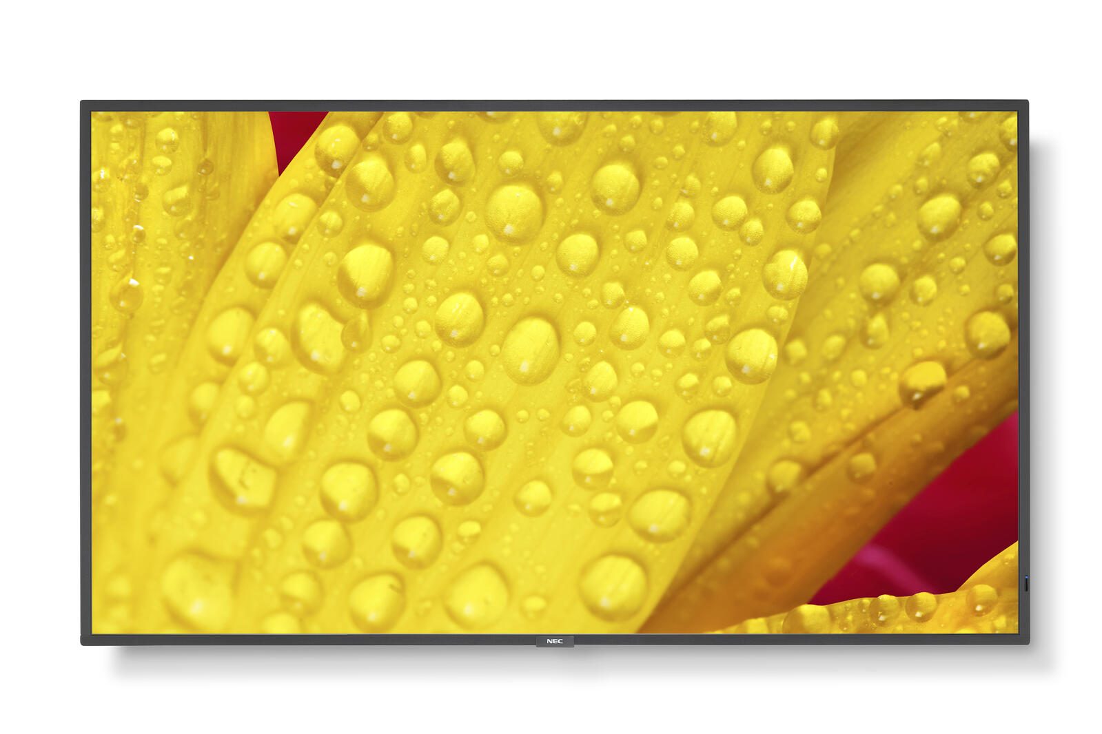 NEC MultiSync M651-2 Digital Signage Display 163,9 cm 65 Zoll