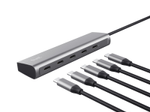 Trust Halyx 5er-Hub für USB-C - Silber