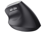Trust TM-270 Ergonomische kabellose Maus - Schwarz