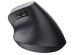 Trust Bayo+ Ergonomische kabellose Maus für mehrere Geräte - Schwarz