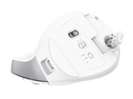 Trust Bayo+ Ergonomische kabellose Maus für mehrere Geräte - Weiß