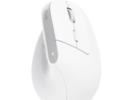 Trust Bayo+ Ergonomische kabellose Maus für mehrere Geräte - Weiß