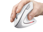 Trust Verto Vertikale ergonomische Funkmaus - Weiß
