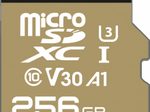 Emtec SpeedIN Pro microSD Speicherkarte 256 GB inkl. SD-Adapter