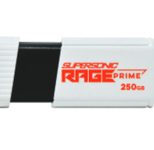 Patriot Memory PEF250GRPMW32U USB-Stick 250 GB