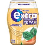 Extra® Kaugummis PROFESSIONAL FRESH Melon Mint
