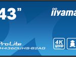 iiyama Digital Signage Display LH4360UHS-B2AG 108 cm (42,5 Zoll)