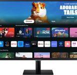 Samsung LS27DM500EUXEN Smart Monitor 68,6cm (27 Zoll)