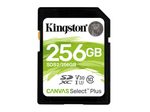 Kingston Canvas Select Plus Speicherkarte 256 GB