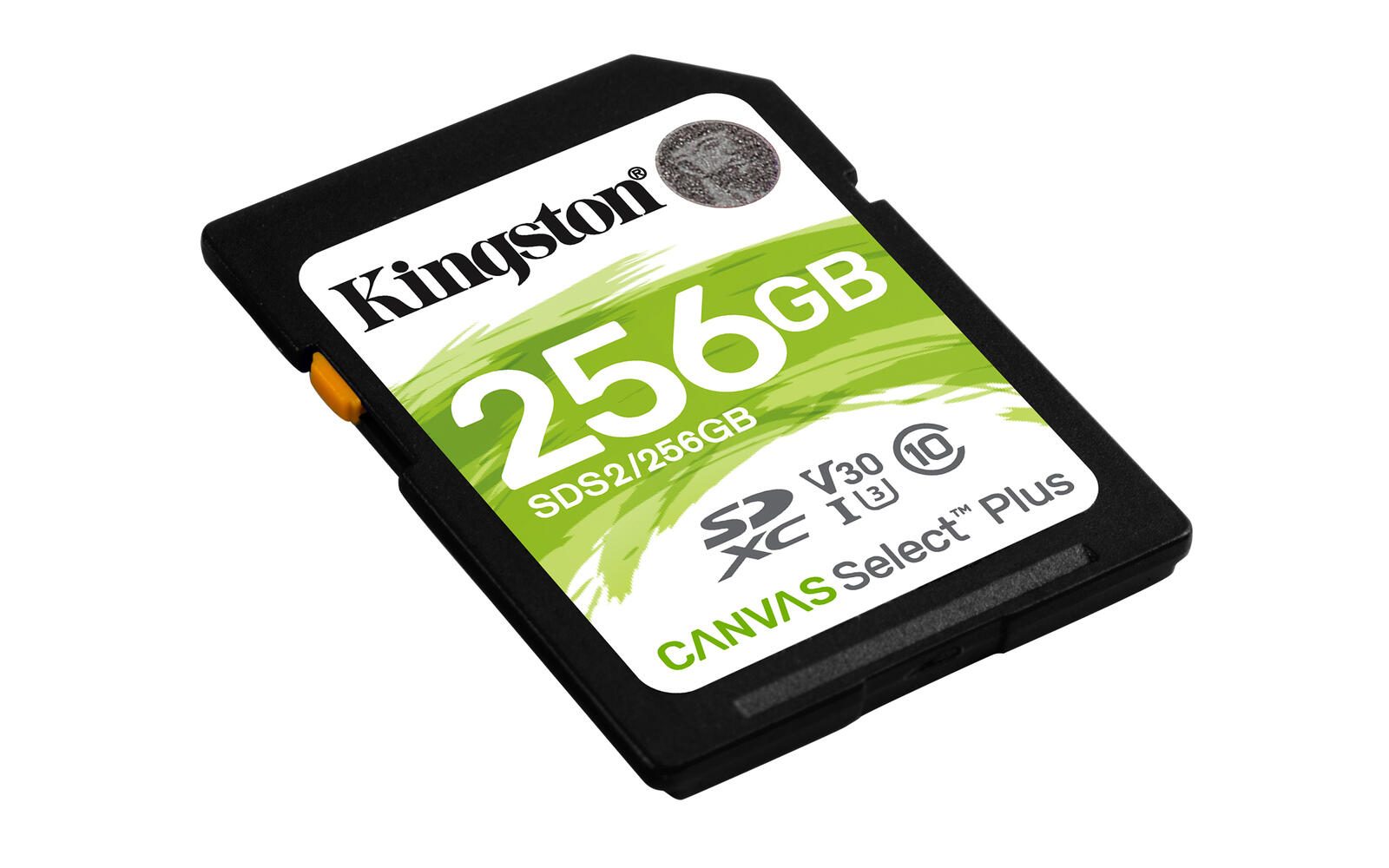 Kingston Canvas Select Plus Speicherkarte 256 GB