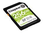 Kingston Canvas Select Plus Speicherkarte 256 GB