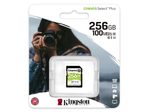 Kingston Canvas Select Plus Speicherkarte 256 GB