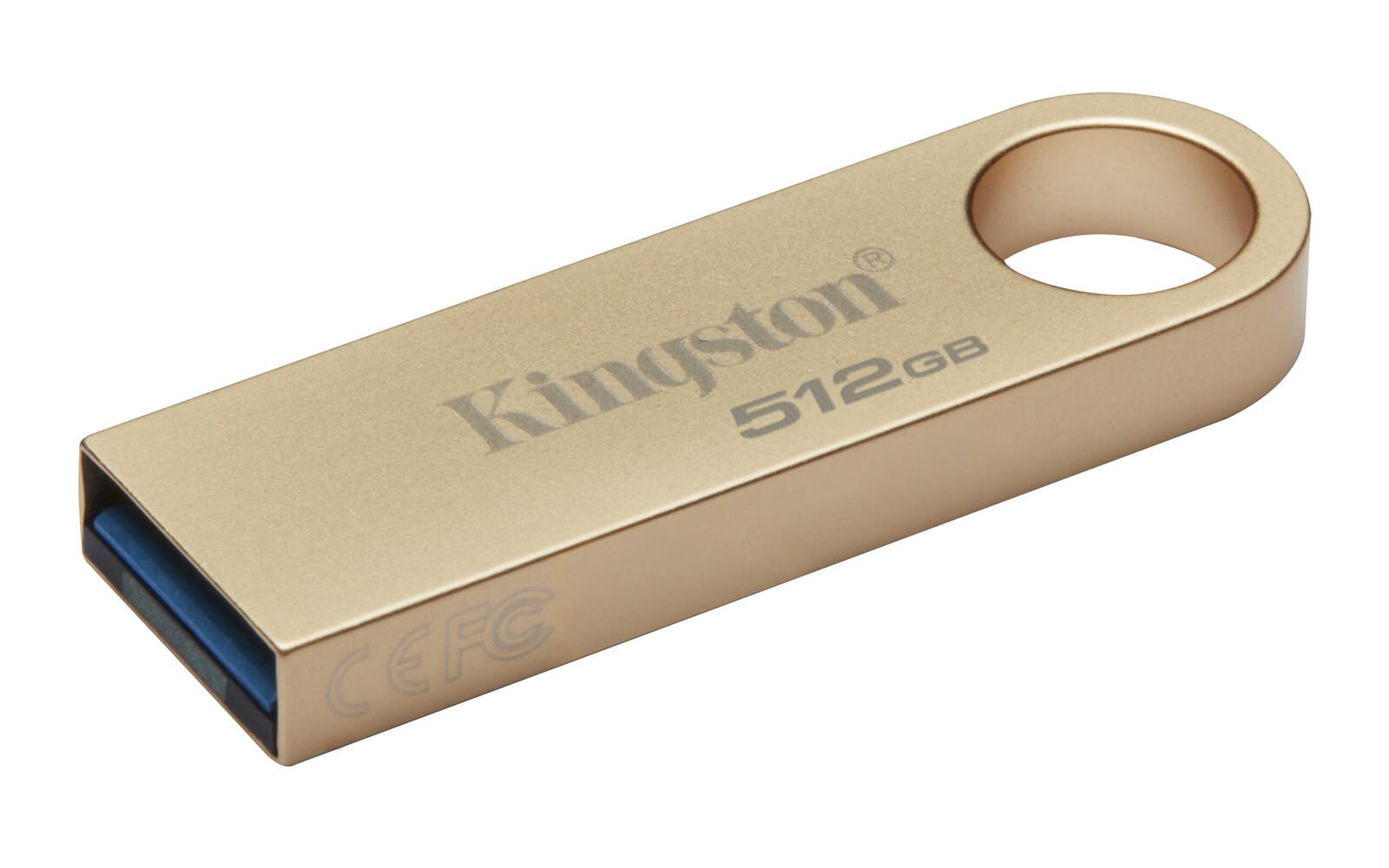 Kingston Technology DataTraveler SE9 G3 USB-Stick - 512 GB