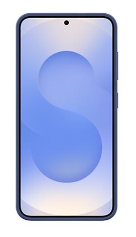 Samsung Silicone Case für Galaxy S25 (Blau)