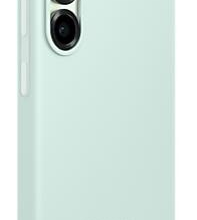 mint