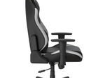DXRacer Drifting Serie GC/XLDC23LTA/NW Gaming-Stuhl - Plus / XL - EPU Leder - Schwarz/Weiß