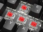 Sharkoon SKILLER SGK50 S2 Black Gaming-Tastatur, Gateron Red
