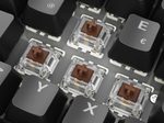 Sharkoon SKILLER SGK50 S2 Black Gaming-Tastatur, Gateron Brown