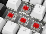 Sharkoon SKILLER SGK50 S2 White Gaming-Tastatur, Gateron Red