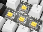 Sharkoon SKILLER SGK50 S2 White Gaming-Tastatur, Gateron Yellow