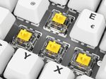 Sharkoon SKILLER SGK50 S2 PBT - White Gaming-Tastatur, Gateron G Pro 3.0 Yellow