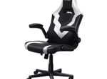 Trust Gaming GXT 703W Riye GamingStuhl - Weiß